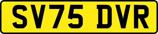 SV75DVR