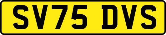 SV75DVS