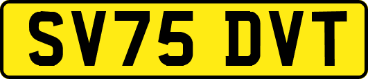 SV75DVT