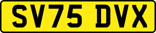 SV75DVX