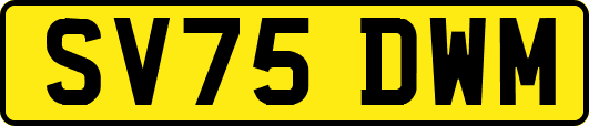SV75DWM