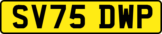 SV75DWP