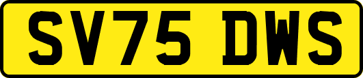 SV75DWS