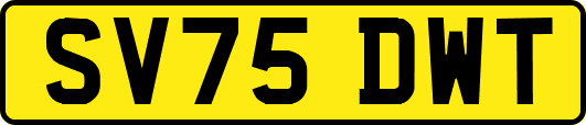 SV75DWT
