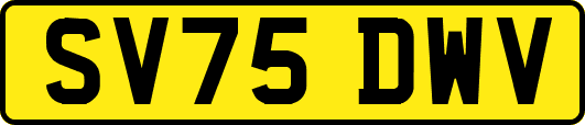 SV75DWV