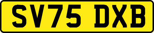 SV75DXB