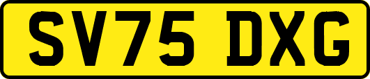 SV75DXG