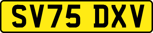 SV75DXV