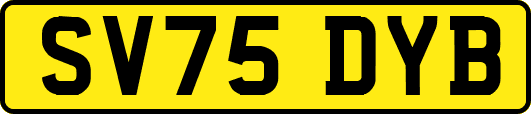 SV75DYB