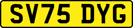 SV75DYG