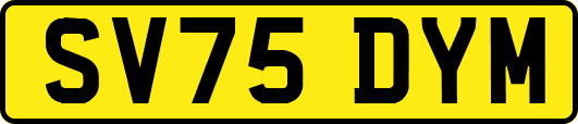 SV75DYM