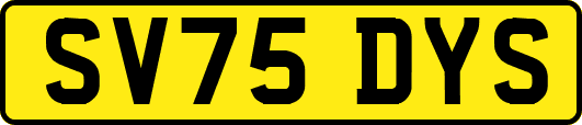 SV75DYS