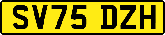 SV75DZH