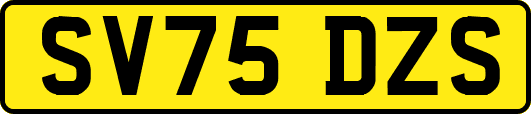 SV75DZS