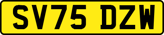SV75DZW