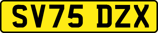 SV75DZX