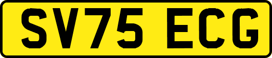SV75ECG