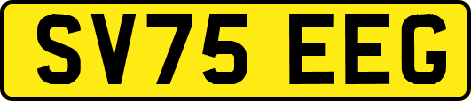 SV75EEG