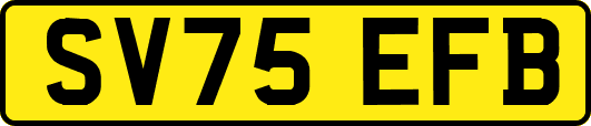 SV75EFB