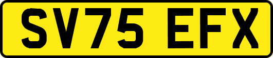 SV75EFX