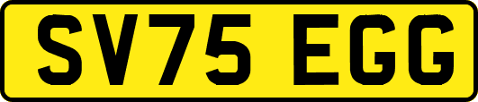 SV75EGG