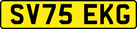 SV75EKG