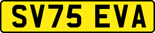 SV75EVA