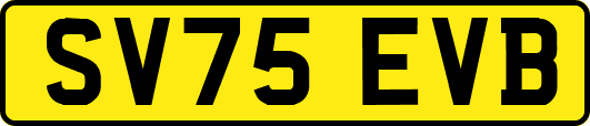 SV75EVB
