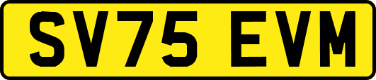 SV75EVM