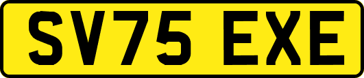 SV75EXE