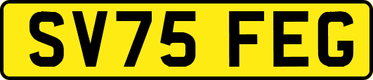 SV75FEG