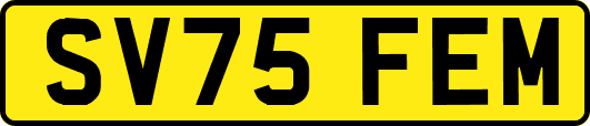 SV75FEM