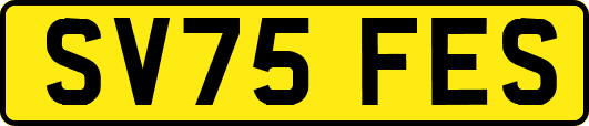 SV75FES