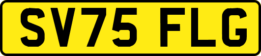 SV75FLG