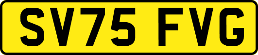 SV75FVG