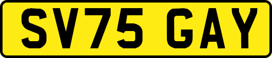 SV75GAY