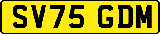 SV75GDM