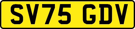SV75GDV