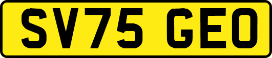 SV75GEO
