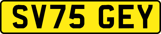 SV75GEY