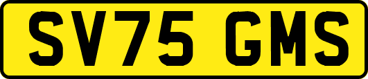 SV75GMS