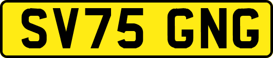 SV75GNG