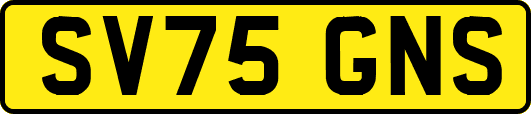 SV75GNS