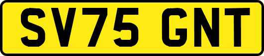 SV75GNT