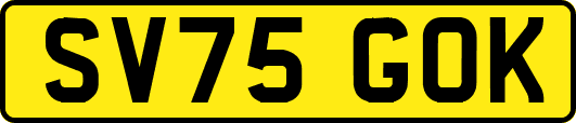 SV75GOK