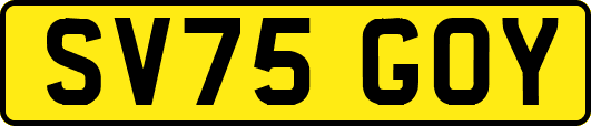 SV75GOY