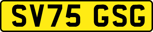 SV75GSG
