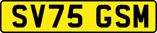 SV75GSM