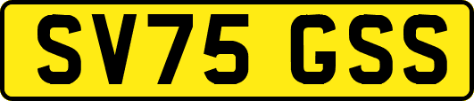 SV75GSS