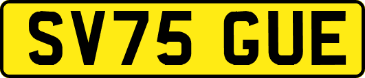 SV75GUE